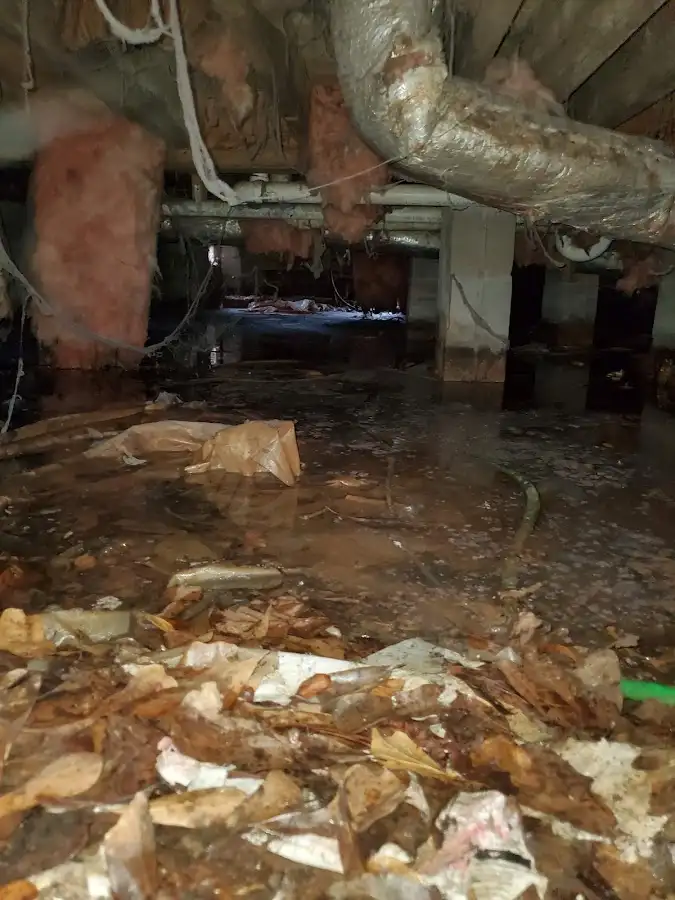 Crawl space flood assessment for Leak Detection & Repair in Albemarle