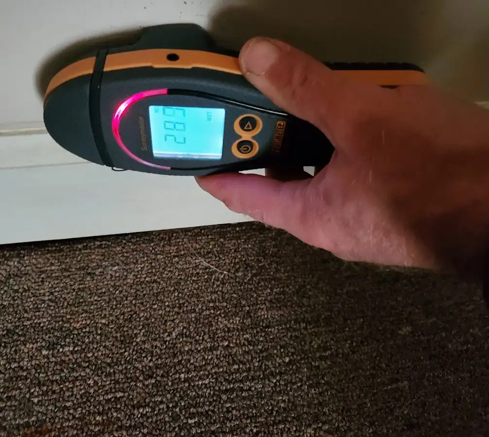 Moisture detection at baseboard during Sewage Cleanup & Sanitation in Albemarle